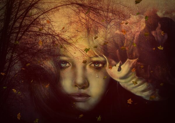 weeping-3332113_1920